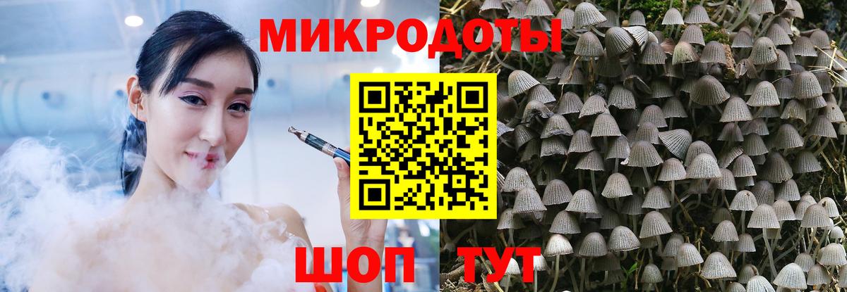 Галлюциногенные грибы Psilocybe  Псилоцибиновые грибы Psilocybe  Каменск-Шахтинский  цены   Вход с VPN 